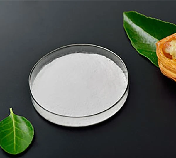 Dicalcium Phosphate CAS số 7757-93-9, CAS số 7789-77-7