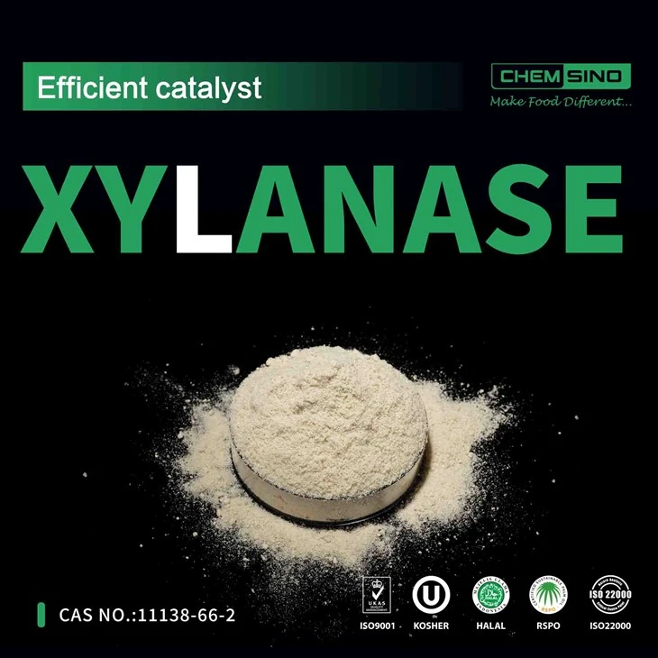 Ngoài các enzyme thông thường - CAS 9025-57-4 Xylanase được giải phóng!