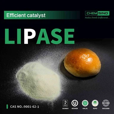 Vũ khí bí mật của đường ruột của bạn:Nắm bắt lợi thế của enzyme lipase CAS SỐ:9001-62-1