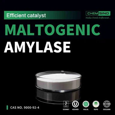 Amylase Maltogen cấp thực phẩm trong nướng bánh