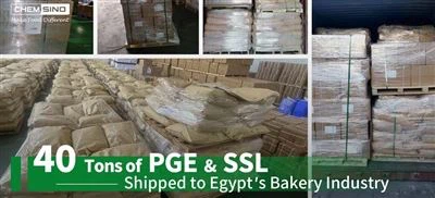 40 tấn PGE & SSL được vận chuyển đến ngành bánh mì của Ai Cập