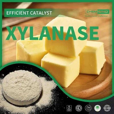 CAS 9025-57-4: Con đường dẫn đến hiệu quả - Giải phóng sức mạnh của Xylanase!