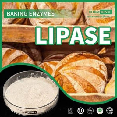 Đạt được sự hài hòa về tiêu hóa: Cảm giác kỳ diệu của Lipase Enzyme SỐ CAS:9001-62-1