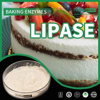 Tăng cường hấp thụ chất béo: Khám phá lợi ích của enzyme lipase CAS NO.:9001-62-1