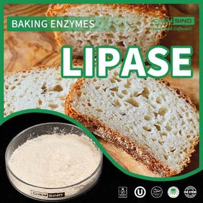 Cung cấp nhiên liệu đúng cách cho cơ thể của bạn: Enzyme lipase để tăng cường sử dụng chất dinh dưỡng SỐ CAS:9001-62-1