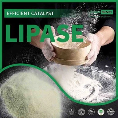 Cuộc sống thân thiện với đường ruột bắt đầu từ đây: Ưu điểm của enzyme lipase SỐ CAS:9001-62-1