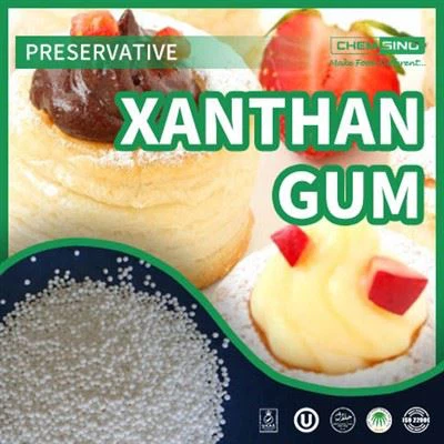 Nắm vững nghệ thuật nhất quán với chuyên môn về Xanthan Gum.CAS NO.:11138-66-2