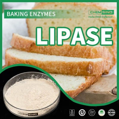 Enzyme lipase chất lượng cao dùng để sản xuất sữa, phô mai và bơ